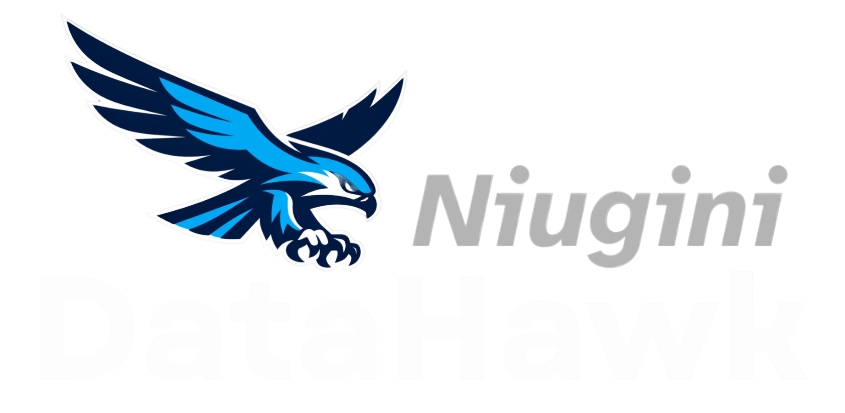 DataHawk